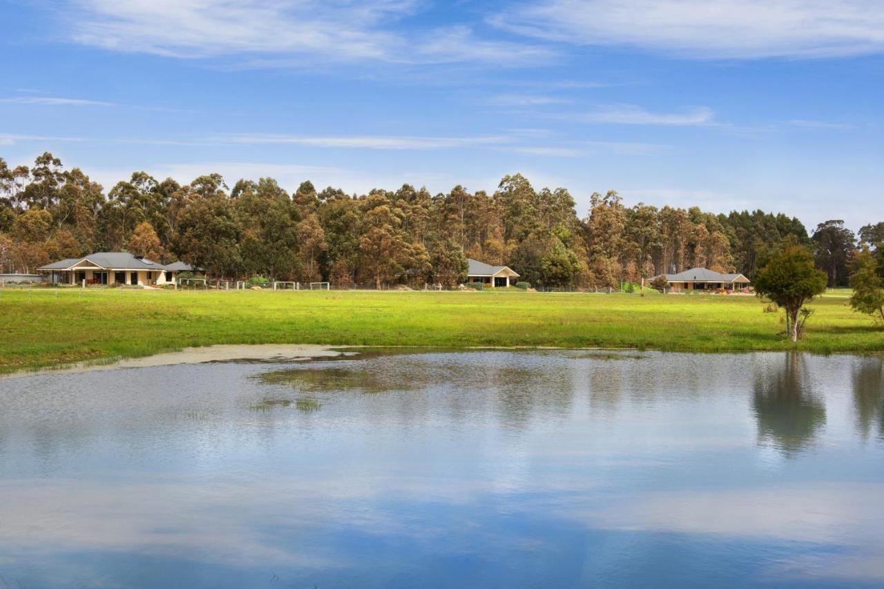 Witchcliffe Redgate Forest Retreat מראה חיצוני תמונה