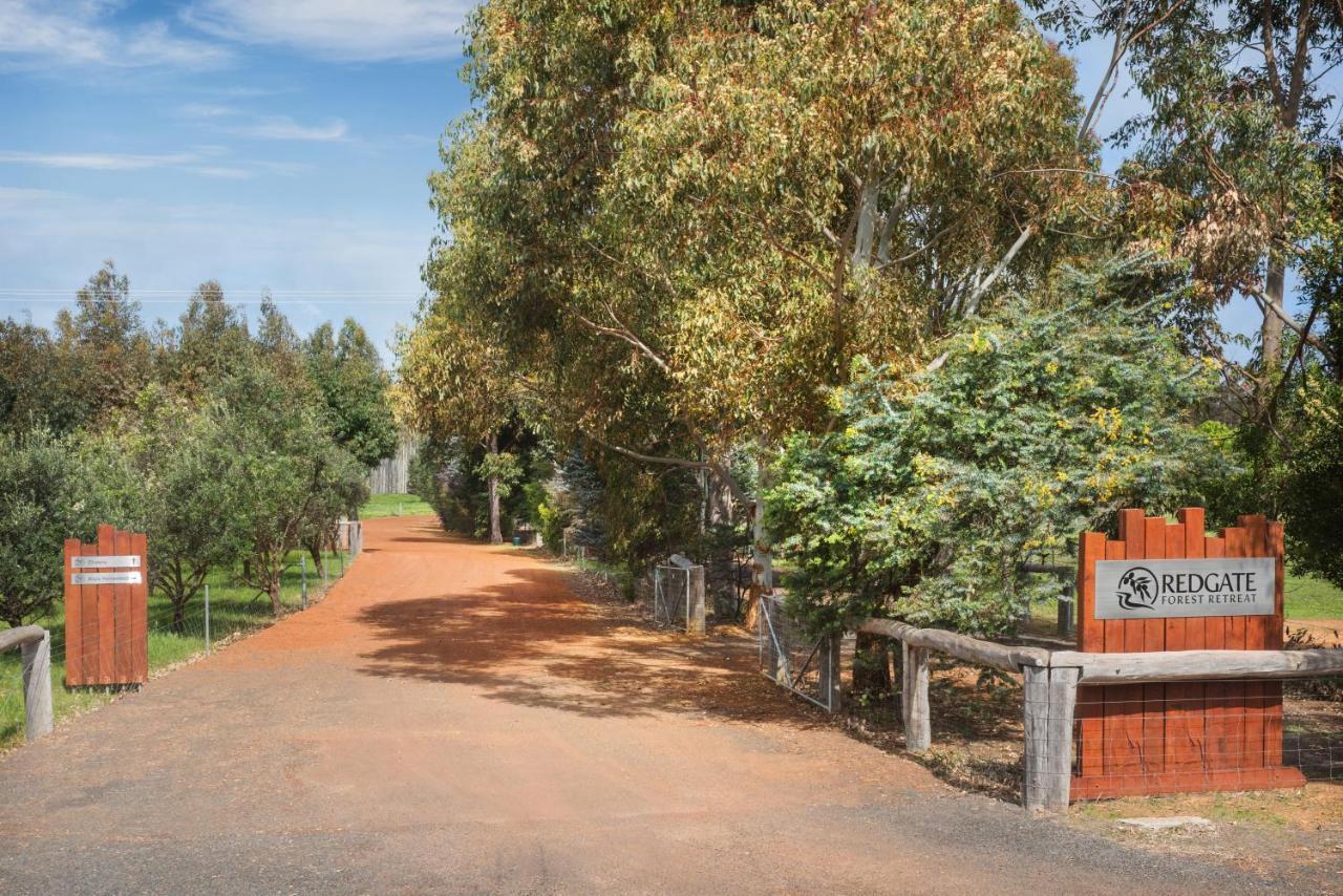 Witchcliffe Redgate Forest Retreat מראה חיצוני תמונה