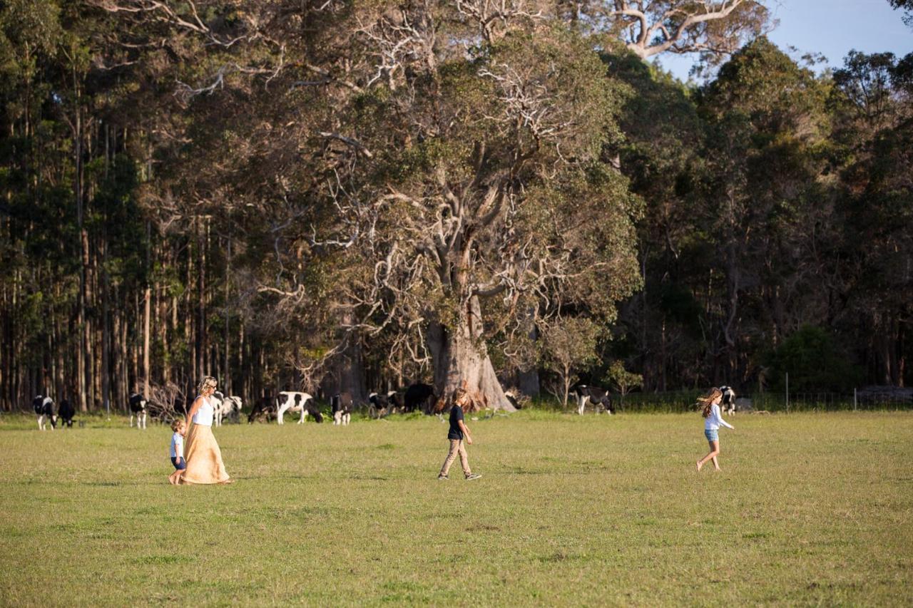 Witchcliffe Redgate Forest Retreat מראה חיצוני תמונה