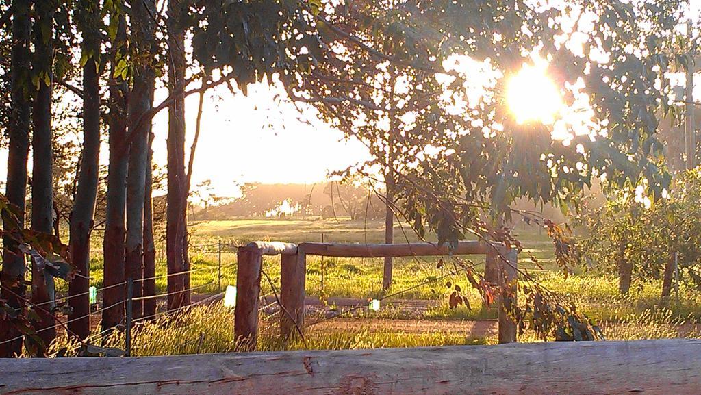 Witchcliffe Redgate Forest Retreat מראה חיצוני תמונה